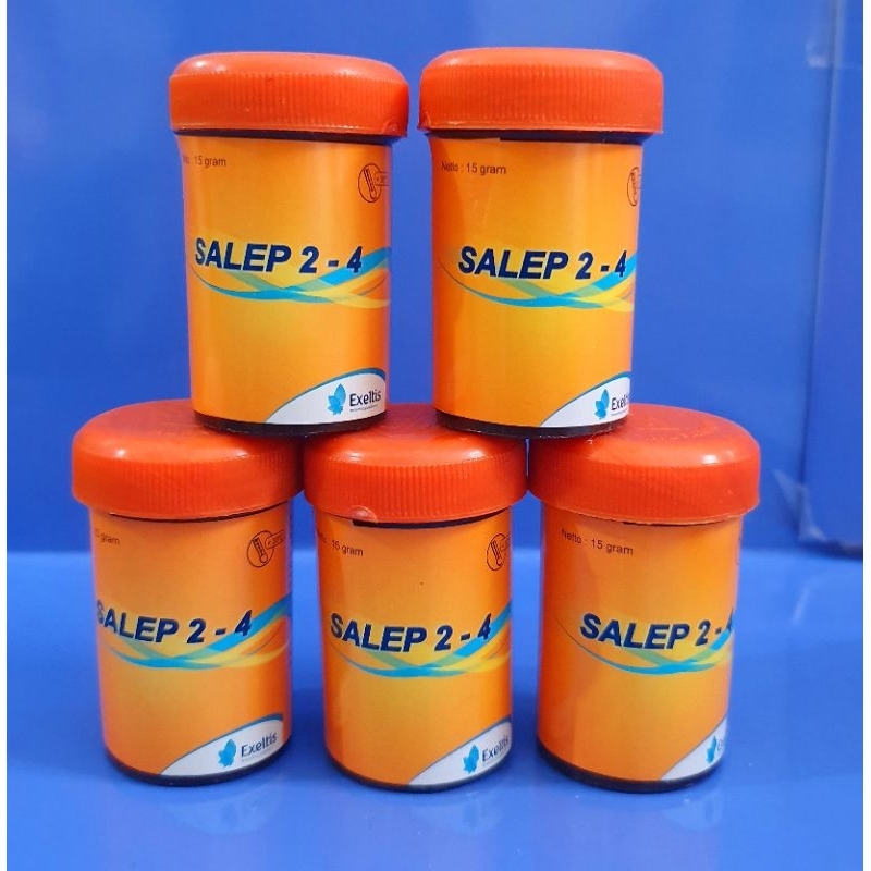 Salep 24 untuk gatal jamur