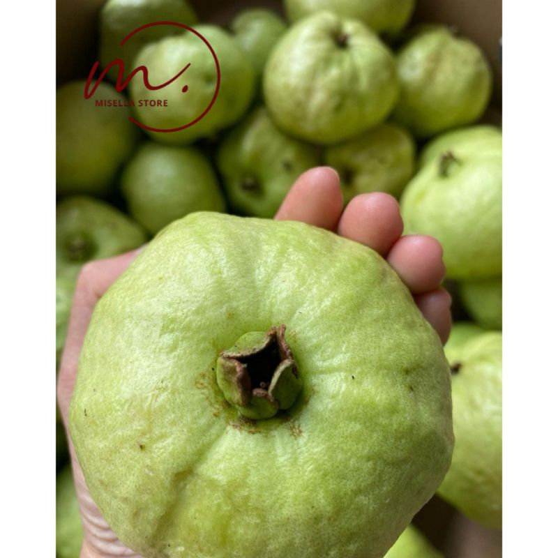 

Jambu Kristal Segar Berat 1 Kg