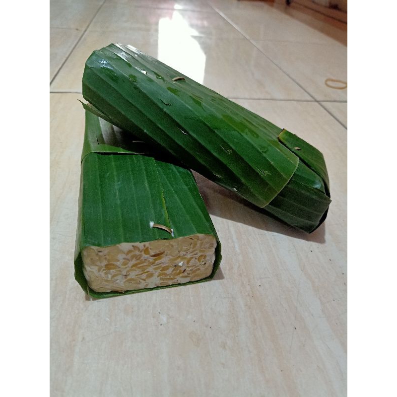 

Tempe bungkus daun