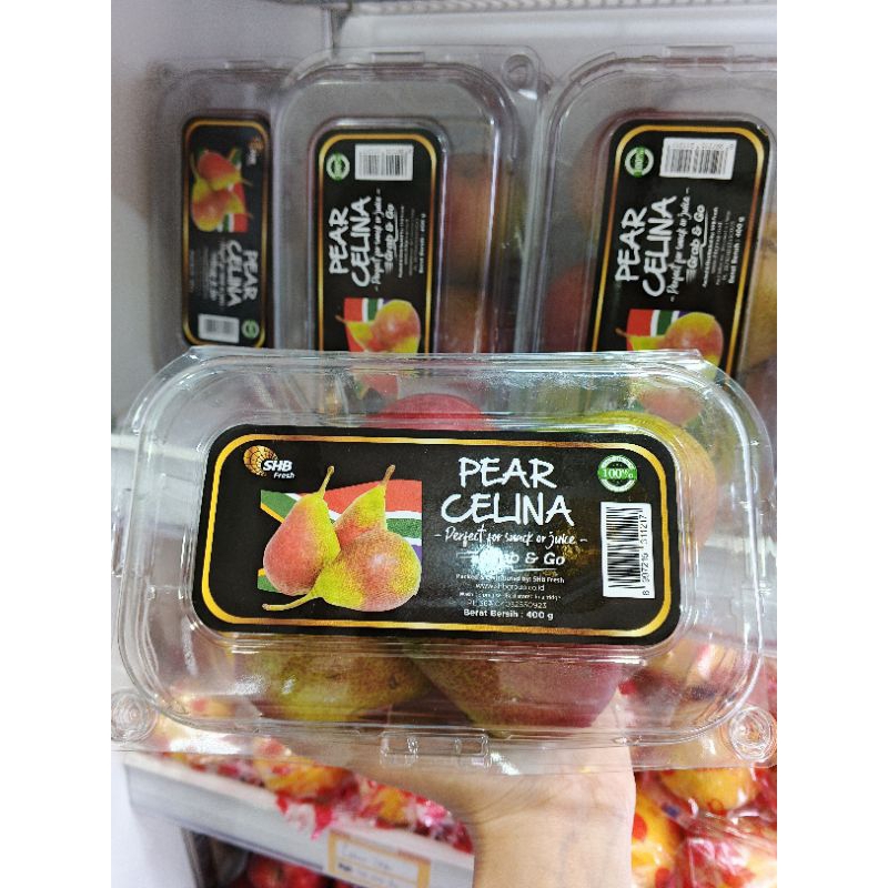 

Pir Anjau / Pir Calina Pack