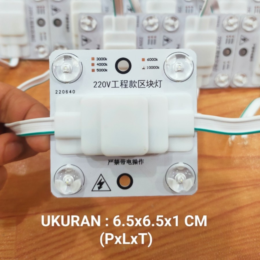 PROMO Led Module 4 Mata AC 220V - White