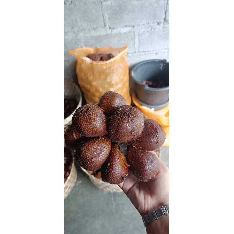

salak madu khas sleman 1 kg