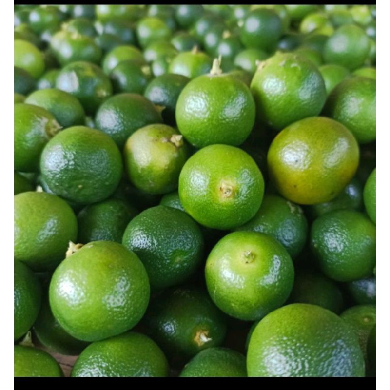 

jeruk songkit/kasturi kancing