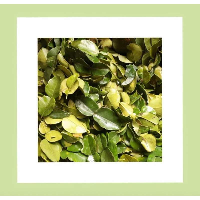 

Daun jeruk / bumbu masakan