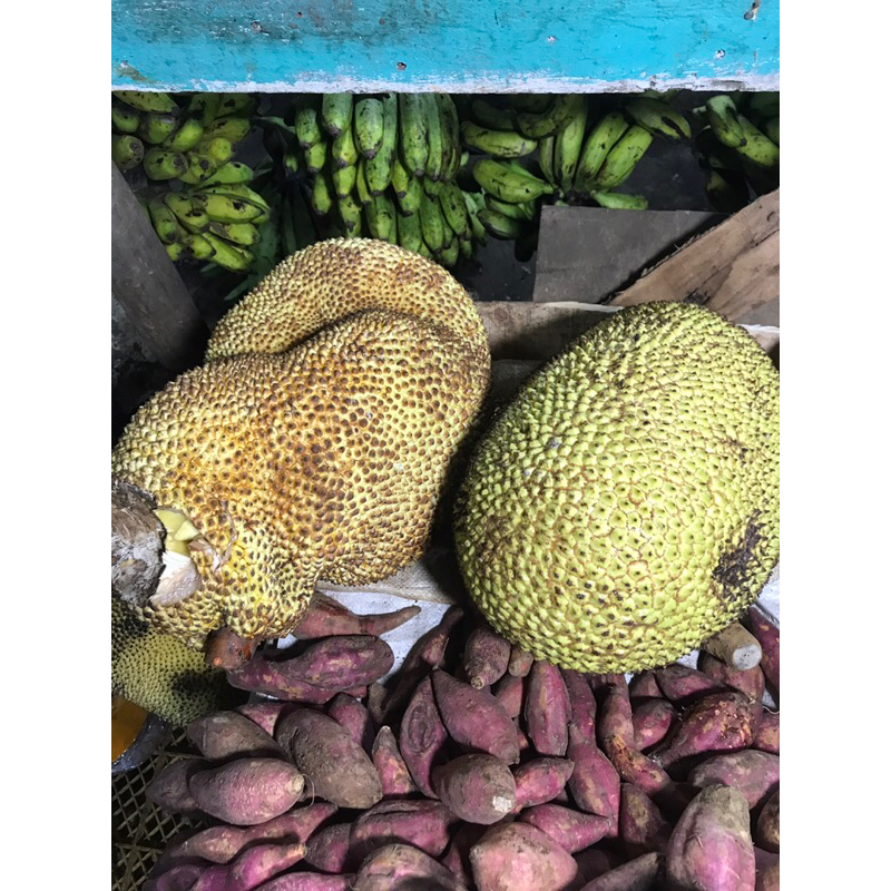 

Buah Nangka Es Teller