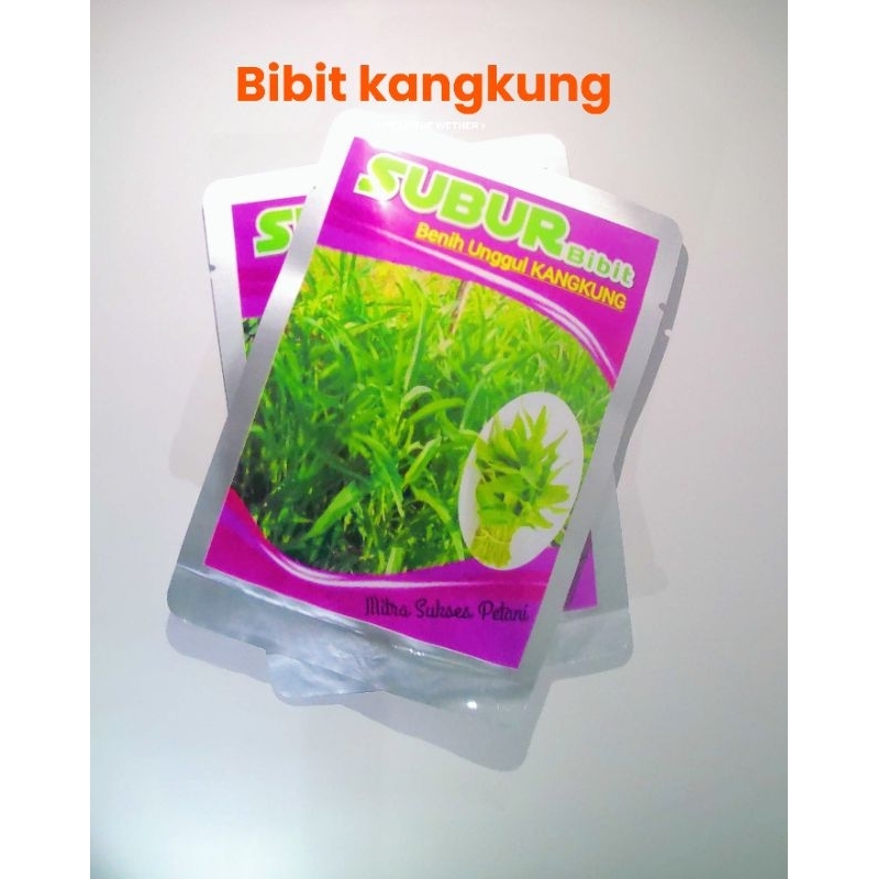 Bibit kangkung/Benih kangkung