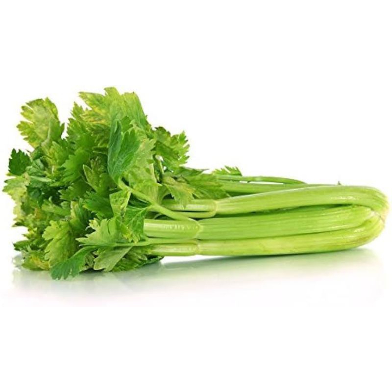 

Celery Stick - Batang Seledri Segar 250 gram