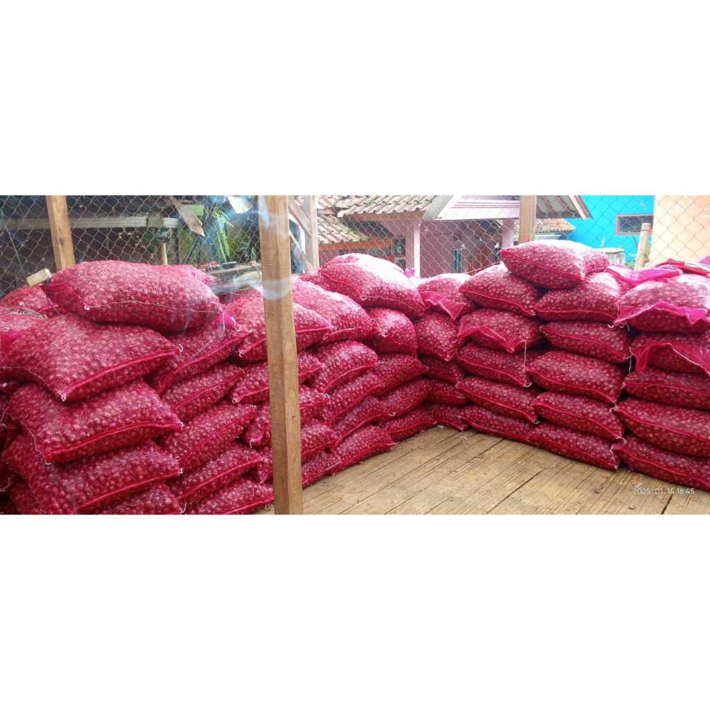 

Bawang Merah Asli Brebes kualitas Super