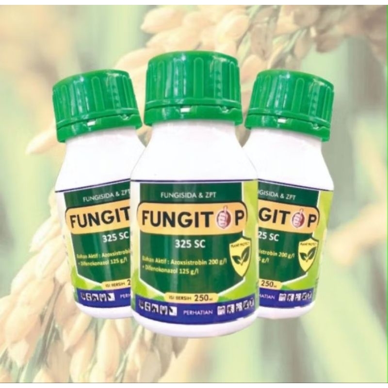 fungitop isi 3 botol