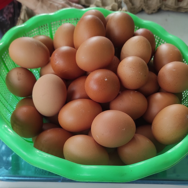 

Telur Ayam Negeri 1kg / Telor Negeri Murah