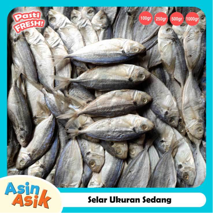 

Ikan Asin Selar Ukuran Sedang Premium Kualitas Super Segar Fresh