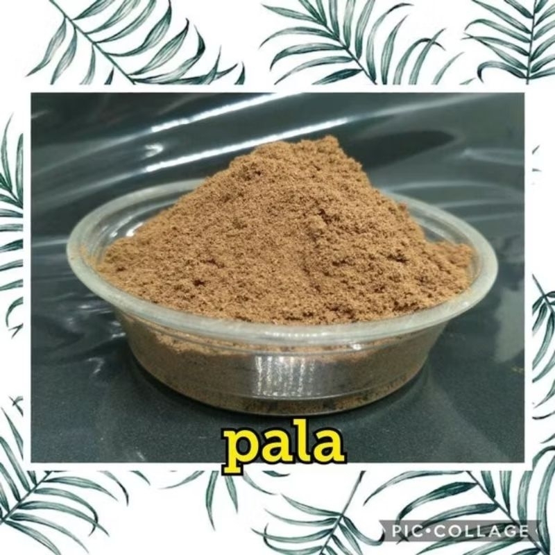 

500 GRAM BUBUK BIJI PALA POLO MYRISTICA FRAGRANS NUTMEG ROU DOU KOU FALO BUBULA PALANGGANA PREMIUM POWDER TEPUNG SERBUK