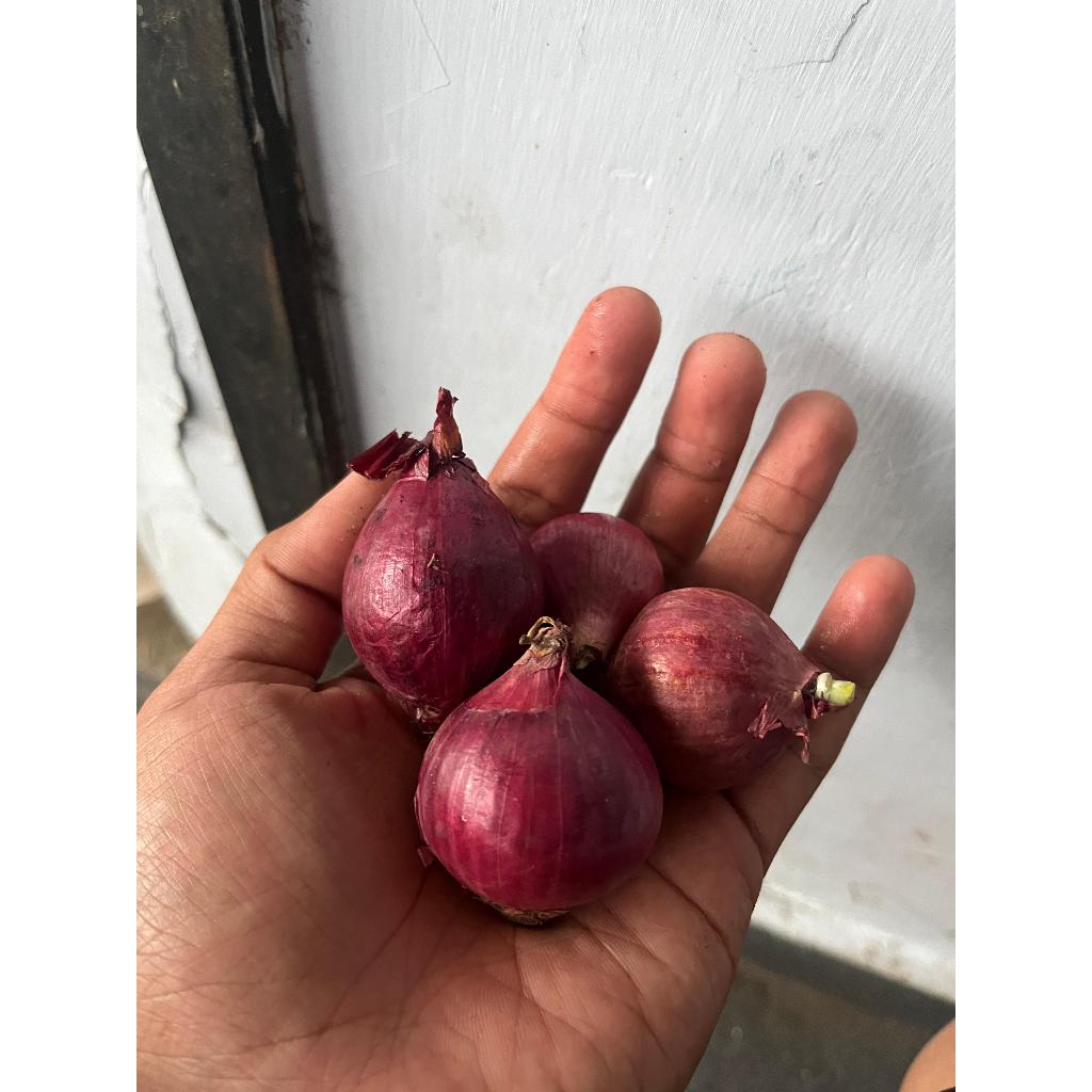 

Bawang Bali Merah Super - Kering
