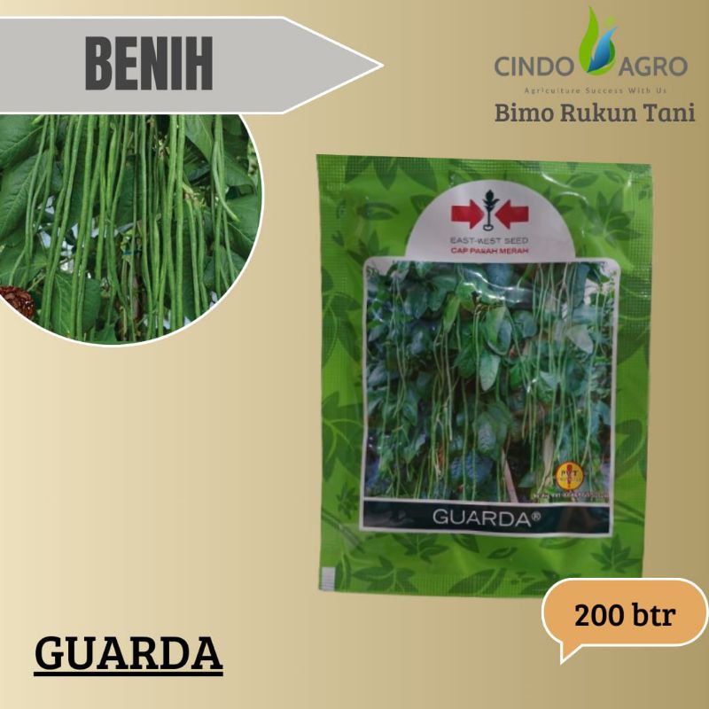 

Kacang panjang GUARDA kemasan ( 200 butir )