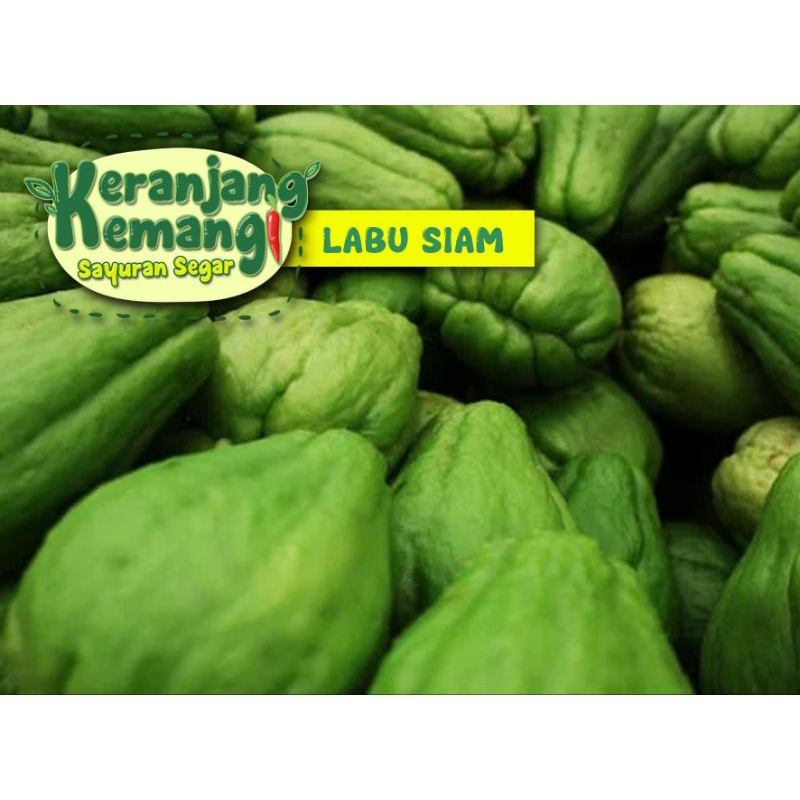 

Labu Siam Segar
