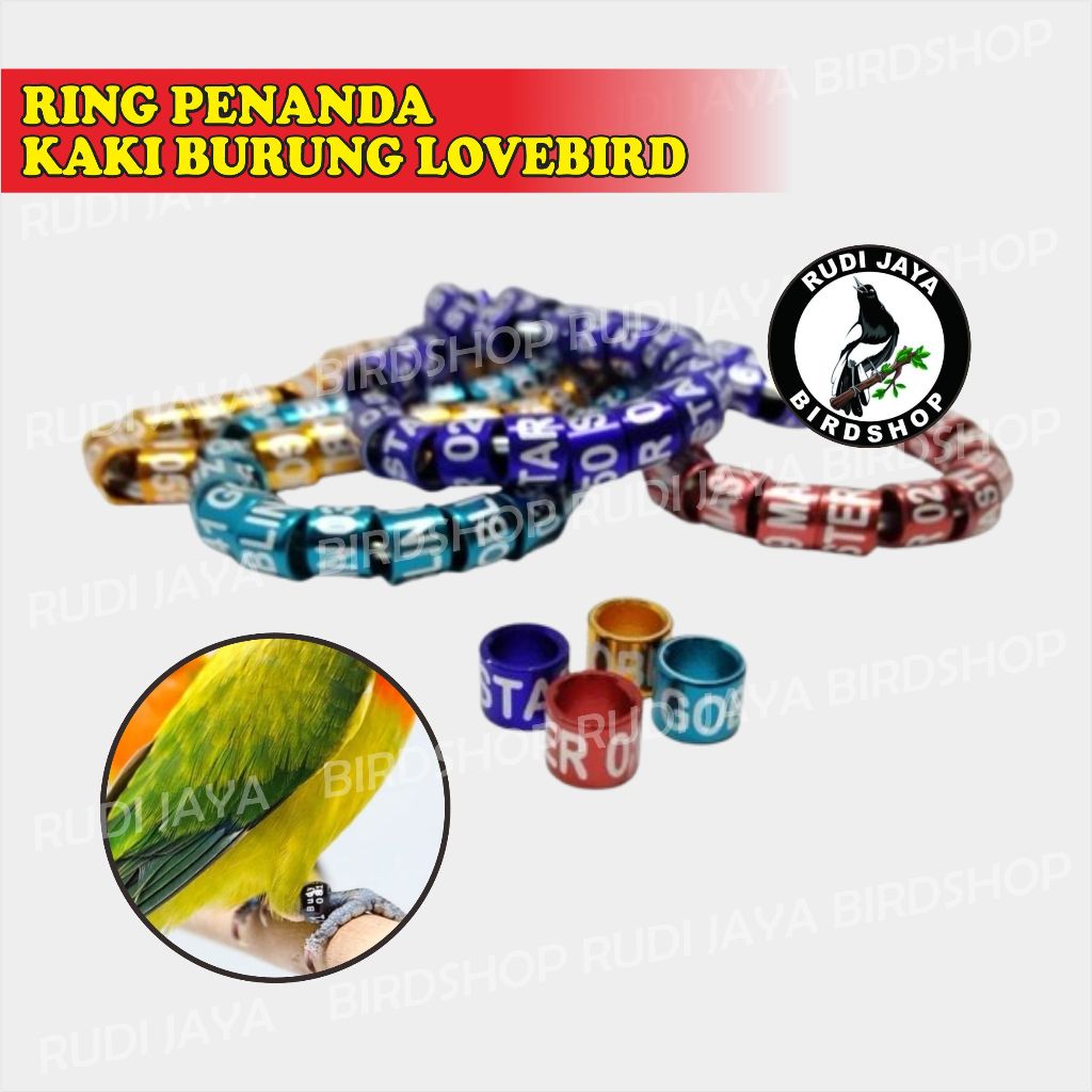 RING BURUNG LOVEBIRD FALK PERKUTUT UNIVERSAL GELANG PENANDA KAKI BURUNG BULAT AMAN KAKI TIDAK SAKIT