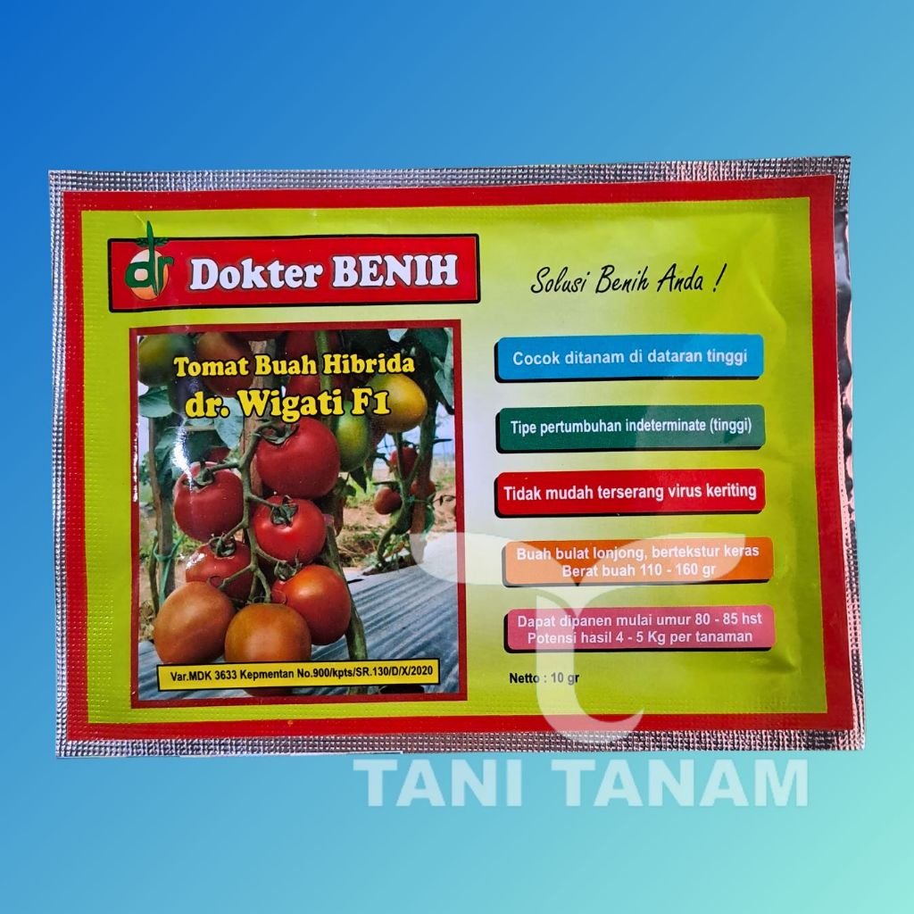 BENIH TOMAT DR. WIGATI F1 TOMAT BUAH HIBRIDA DOKTER BENIH