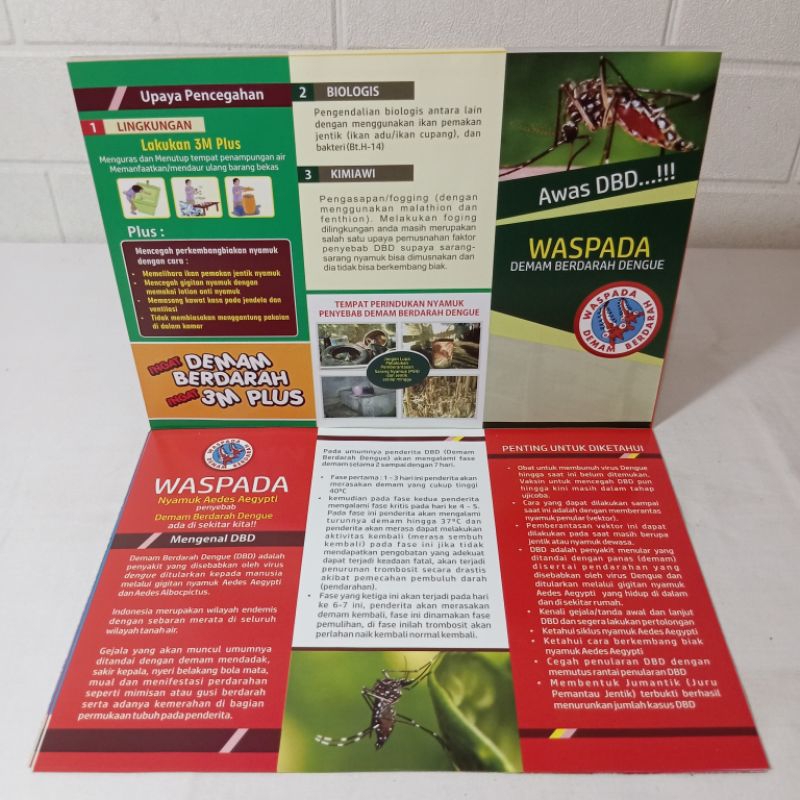 Leaflet Waspada DBD / Leaflet Demam Berdarah / Leaflet Edukasi DBD