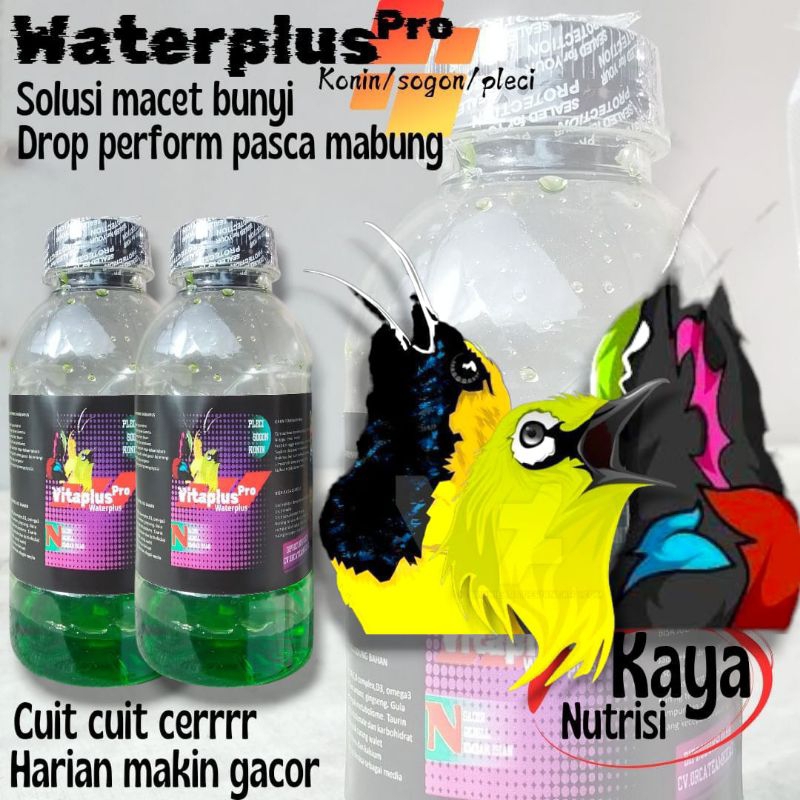 WATERPLUS NEXTAR/PAKAN PENGGACOR KOLIBRI/PLECI/SOGON