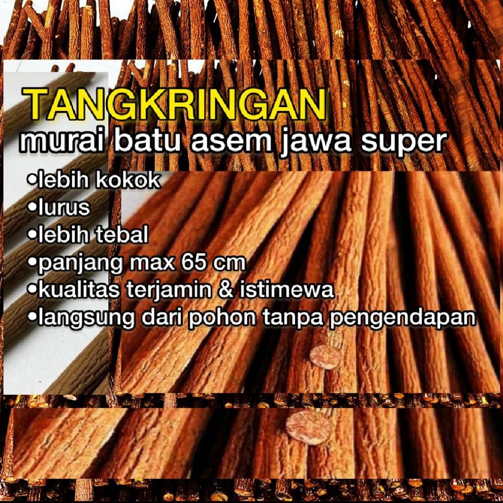 Tangkringan Asem Jawa Super Pangkringan Kayu Asem Jawa Sangkar Burung