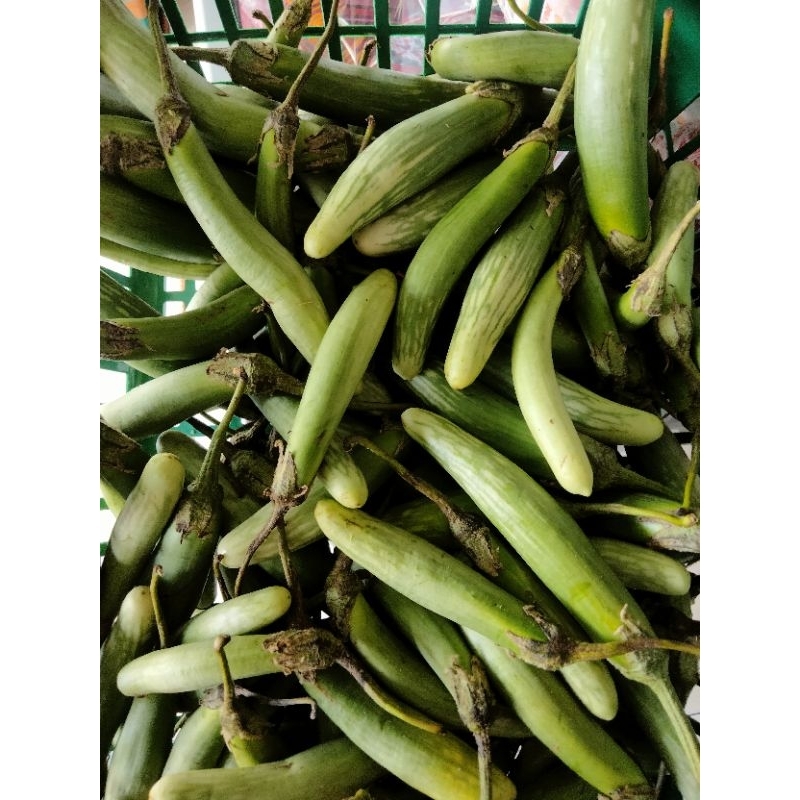 

Terong Telunjuk Tauco 250gr