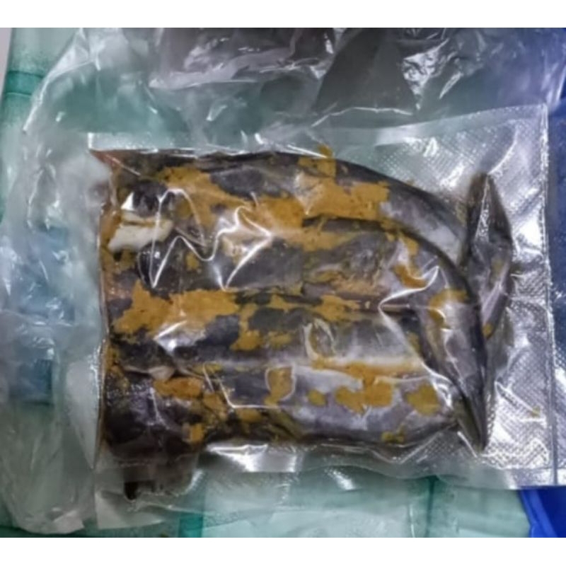

lele bumbu kuning 500grm