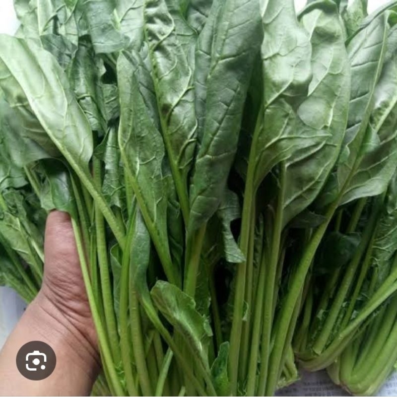 

SAYUR POELENG FRESH