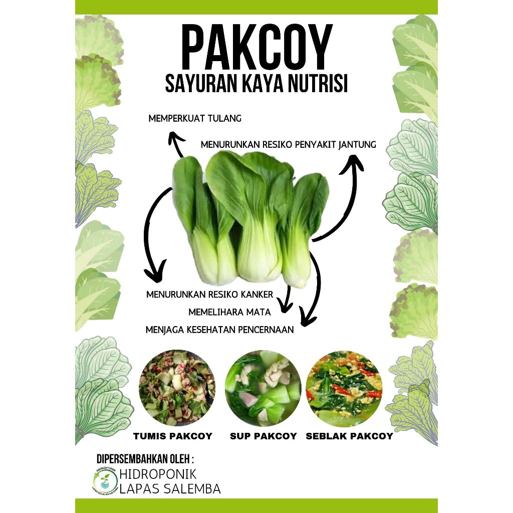 

PAKCOY