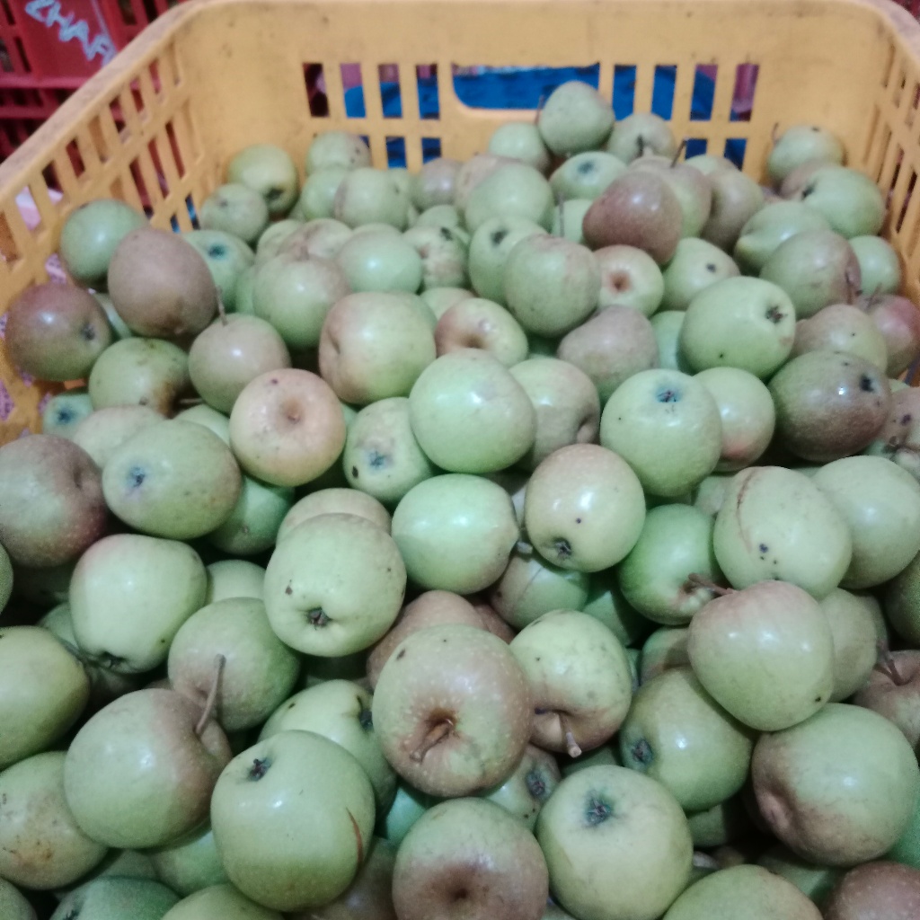 

apel manalagi cerry 1kg (isi 25-35) /apel malang