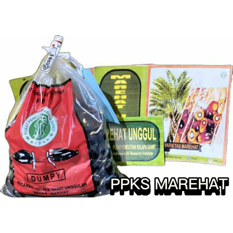 ppks DxP DUMPY UNGGUL BERSERTIFIKAT