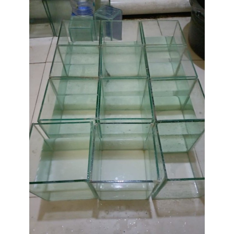 Aquarium Bekas ikan cupang