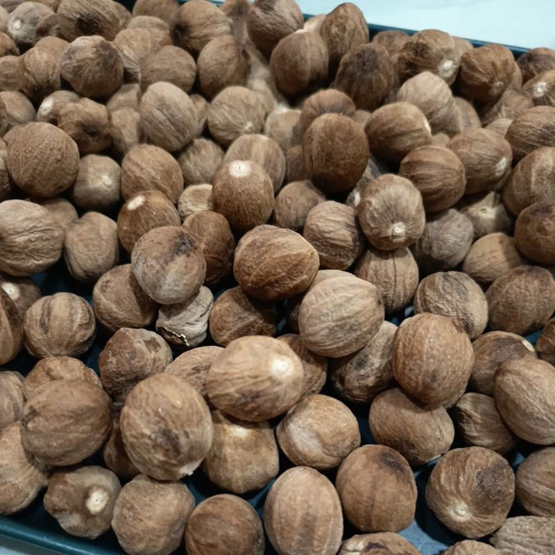 

Pala kupas 50g 100gr kualitas premium