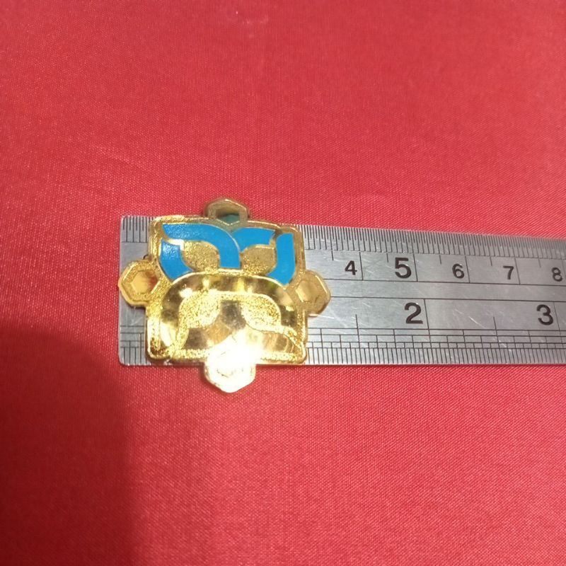 pin BKKBN kemendukbangga