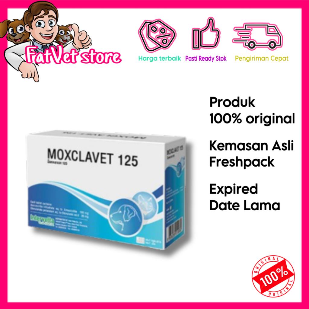 Moxclavet 125mg antibiotik anjing kucing mirip clavamox per 1 strip