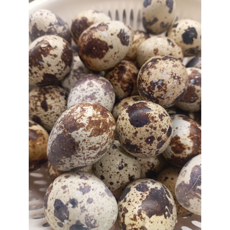 

telur puyuh segar 250gr