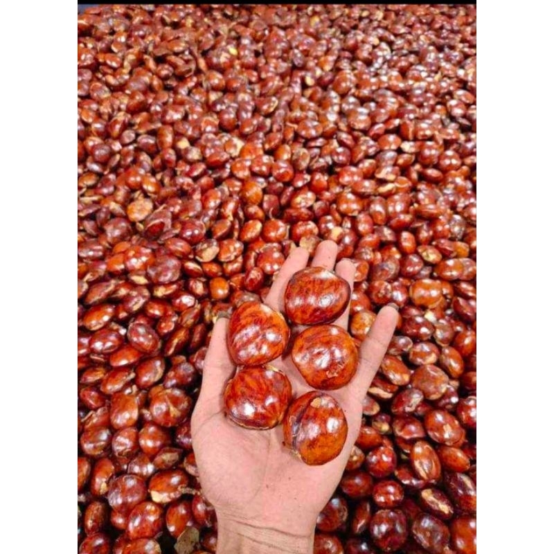 

jengkol/jangki super tua tua 1 kg