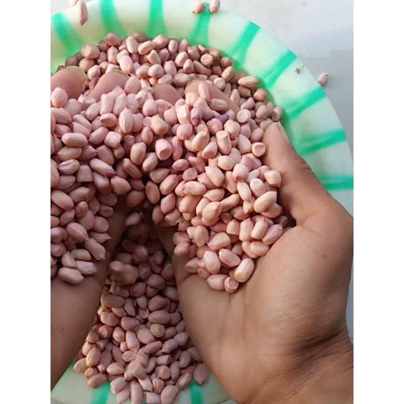 

kacang tanah cidaun sudah di kupas Cidaun 1kg
