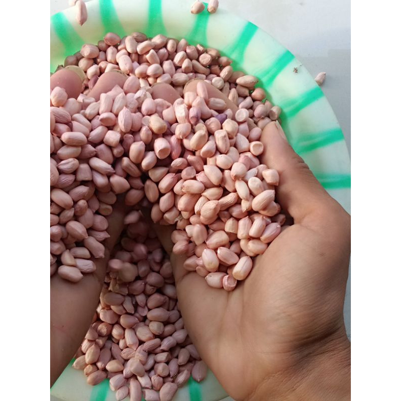 

kacang tanah cidaun sudah di kupas Cidaun 1kg