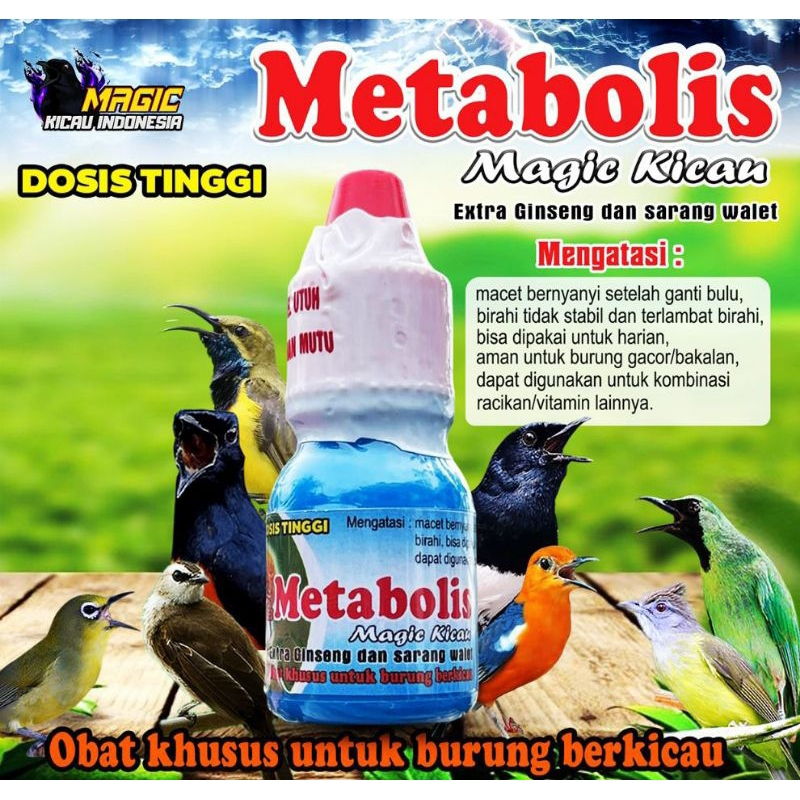 Metabolis Magic Kicau Penggacor Burung Murai Batu Pleci Lovebird Kacer dan Untuk Mengatasi Burung Ma