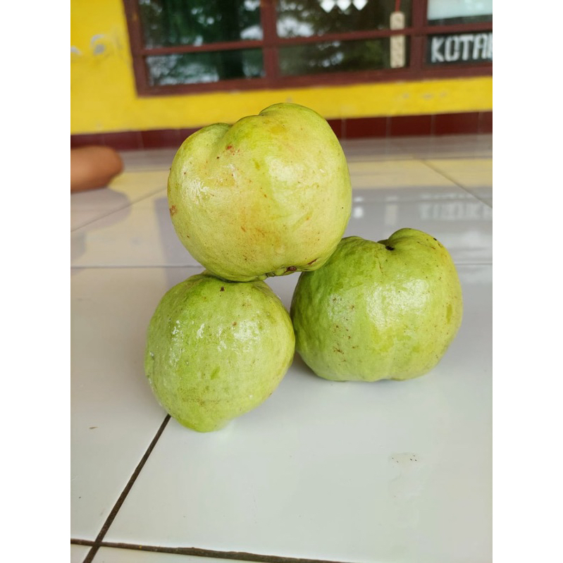 

jambu kristal 1 kg