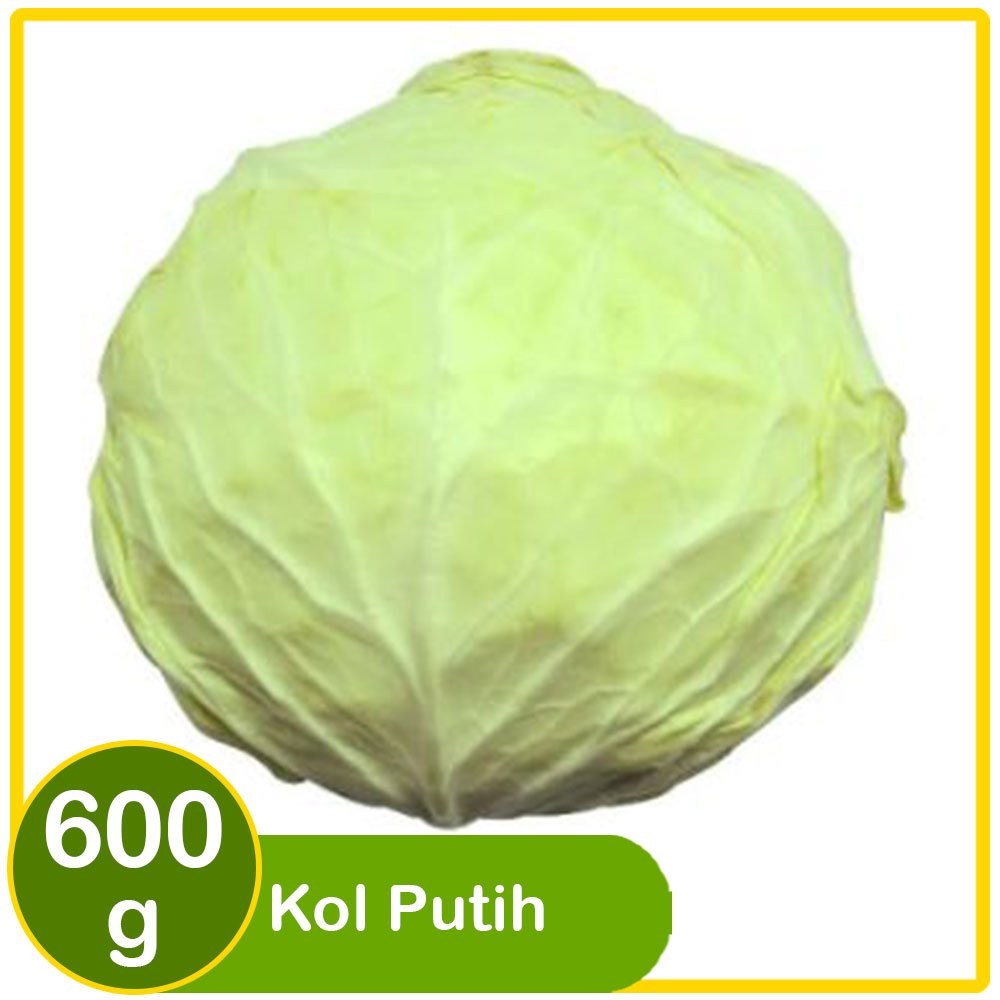 

Sayur Kol Putih 600g – Segar, Renyah, & Kaya Nutrisi!