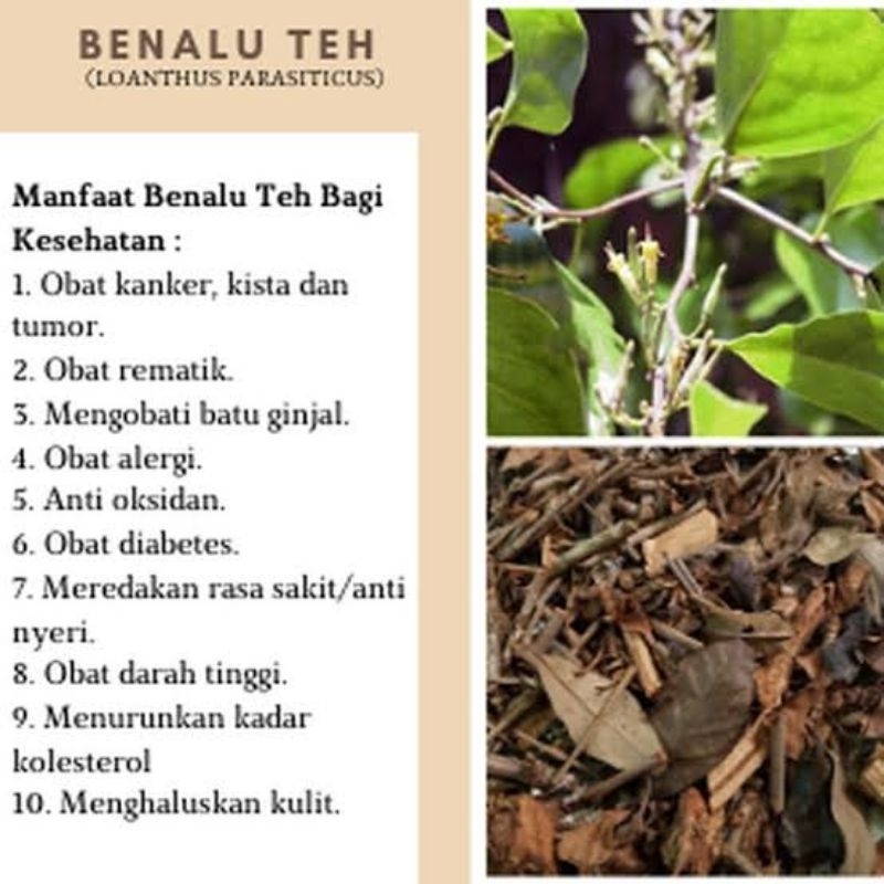 

Benalu Teh Asli Kering Tea Herbal 500gr