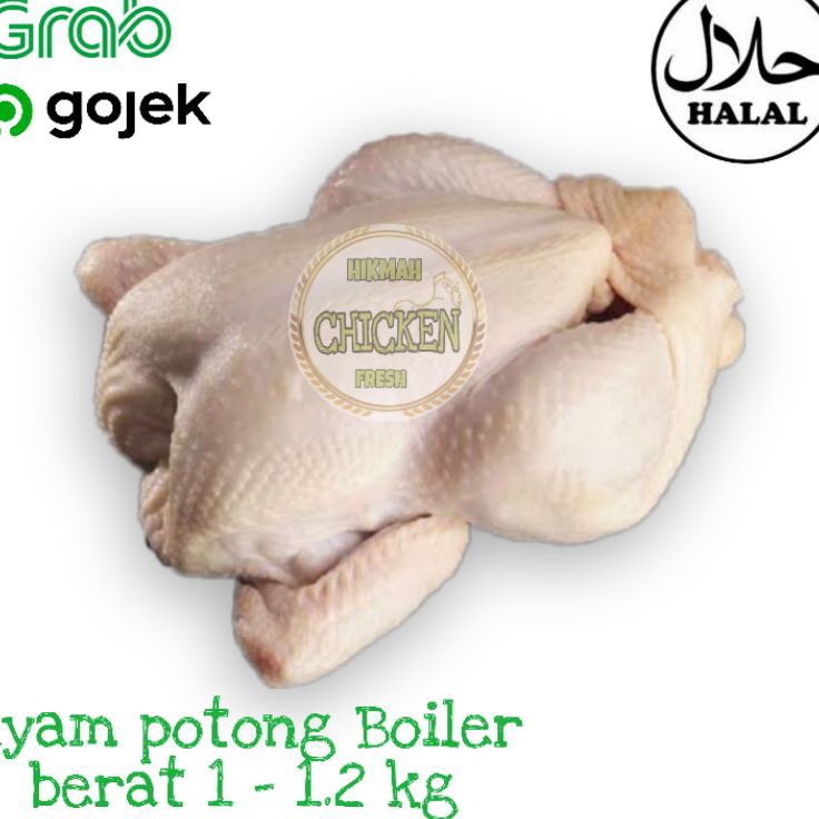 

Ayam potong boiler karkas fresh segar berkualitas termurah 1 12 kg