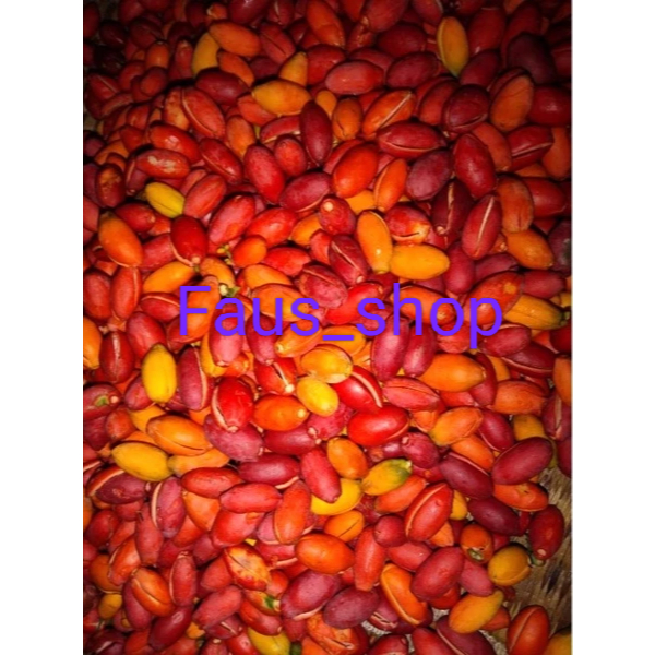 

kulit melinjo (Tangkil) fresh 1 kg