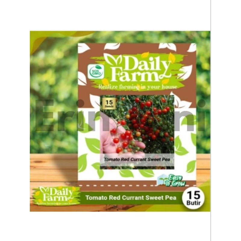 DF benih TOMATO RED CURRANT SWEET PEA 15 butir biji tomat ceri merah mini cherry import daily farm