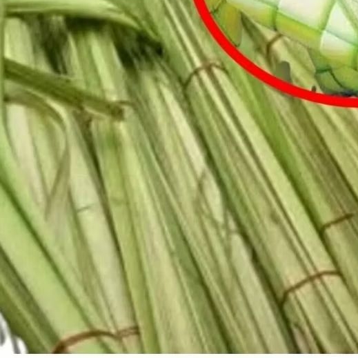 

Janur Kelapa Muda untuk Ketupat
