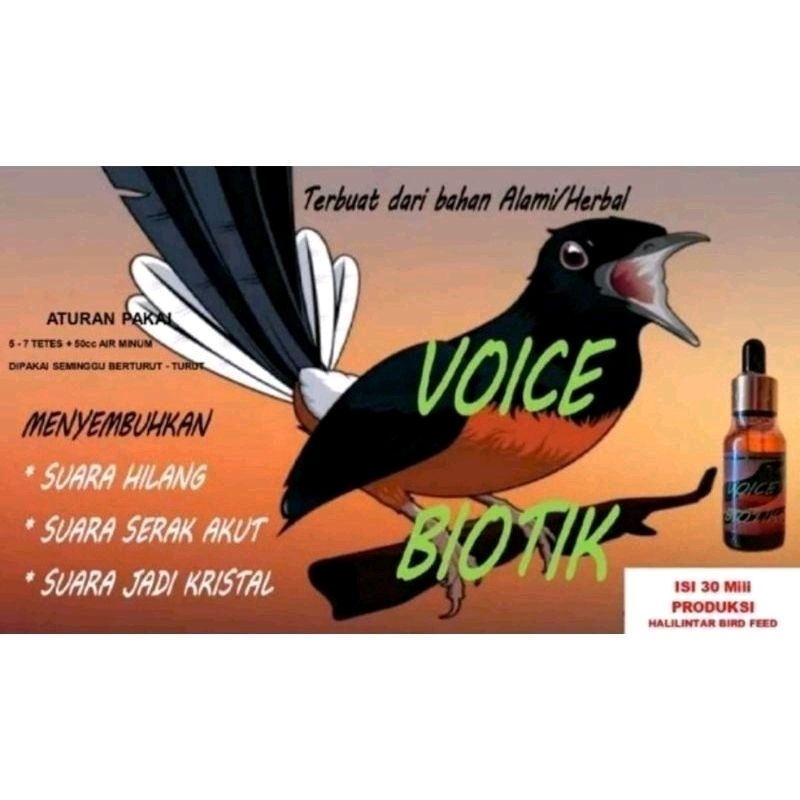 voice biotik 30ml obat serak kurang volume kristal Juan halilintar isi 30ml Vitamin Burung Khusus Bu