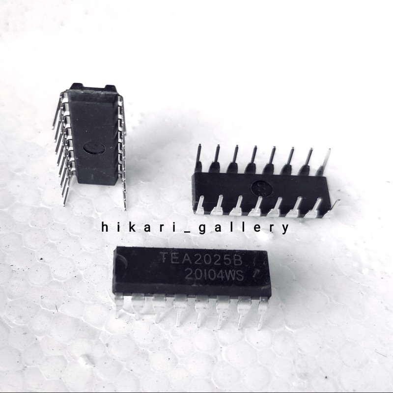 (PROMO) TEA2025B Amplifier Stereo Audio / TEA 2025 B / TEA 2025B