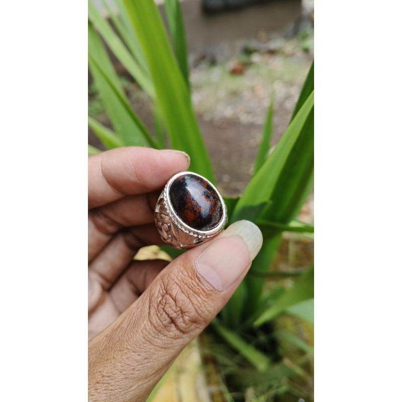 badar besi  natural asli alam promo