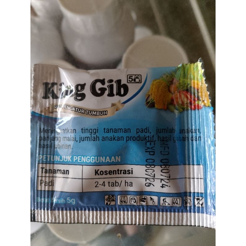 ZPT King Gib GA3 tablet